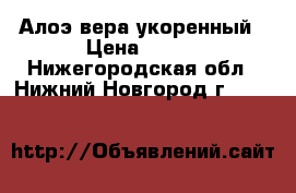 Алоэ вера укоренный › Цена ­ 150 - Нижегородская обл., Нижний Новгород г.  »    